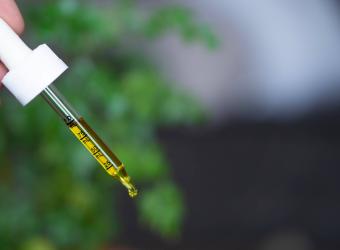 CBD for Canines