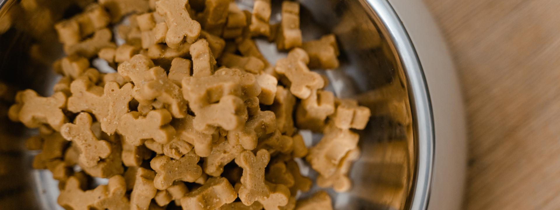 dog food image